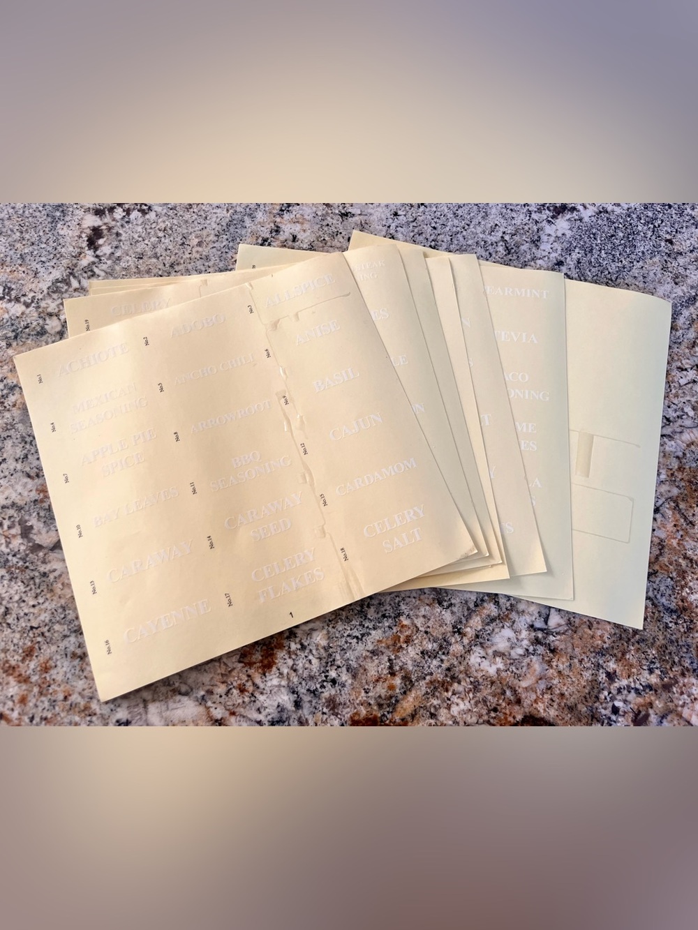 Clear Spice Pantry Label Sheets for Organization Clear 125 Labels +Blank Labels